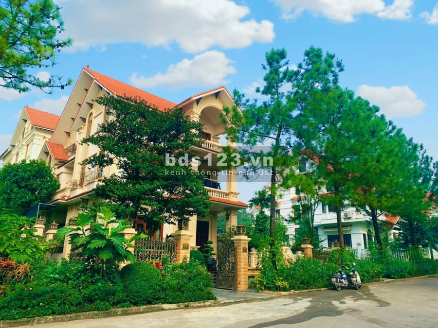 Tôi có căn 200m2,300m2 cần bán gấp mức giá tốt nhất thị trường dự án The Phoenix - Đan Phượng
