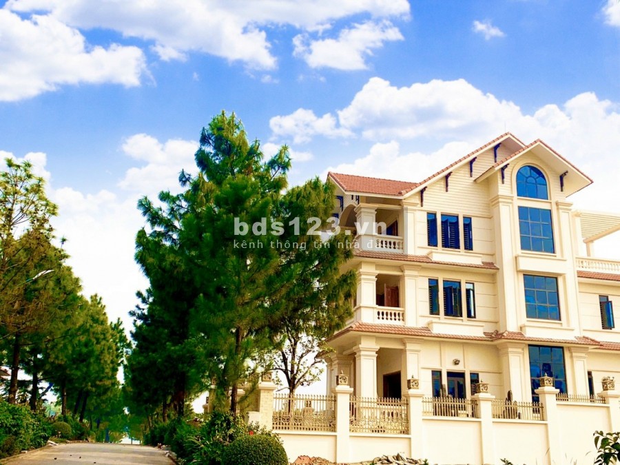 Tôi có căn 200m2,300m2 cần bán gấp mức giá tốt nhất thị trường dự án The Phoenix - Đan Phượng