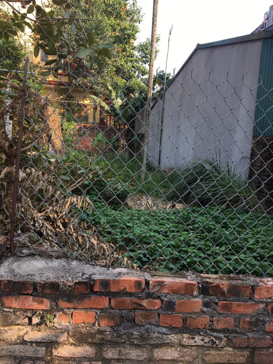 Chính chủ nhờ bán 80m2 Cán Khê Nguyên Khê Đông Anh Hà Nội