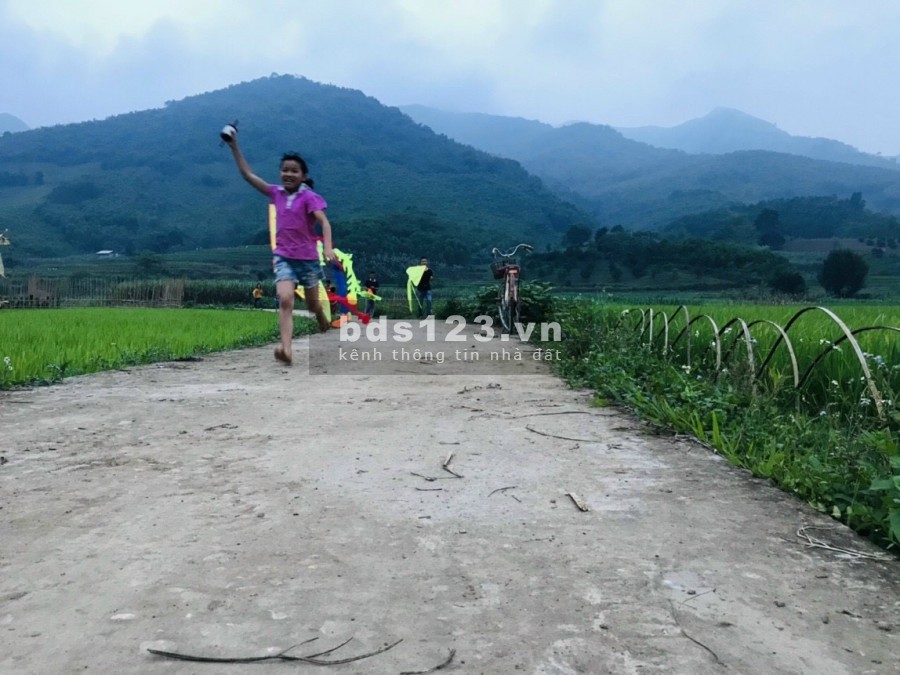 TUYỆT ĐỈNH AN SINH TRANG TRẠI NGHỈ DƯỠNG 1538M LƯƠNG SƠN CHỈ HƠN 3TỶ