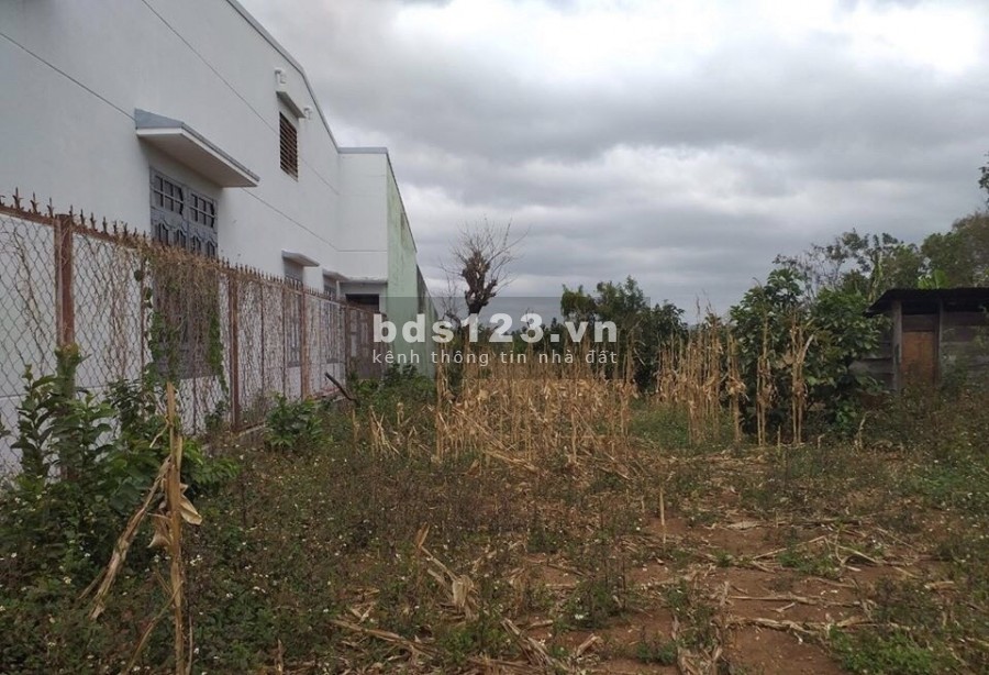 Bán gấp 680m2 đất S.H.R, Thổ Cư, Đường nhựa cách Tp. Đồng Xoài 2km LH:0918282462