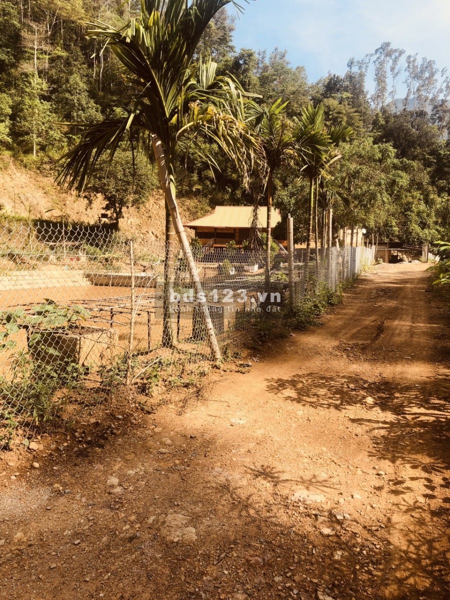 Bán đất tại địa chỉ khối Đồng Tâm, thị trấn Tuần Giáo, Điện Biên
