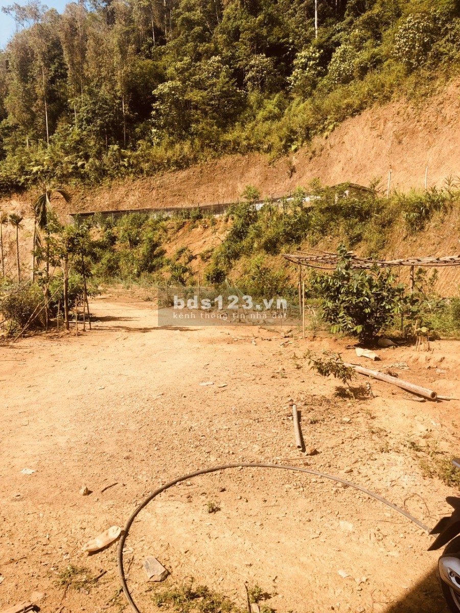Bán đất tại địa chỉ khối Đồng Tâm, thị trấn Tuần Giáo, Điện Biên
