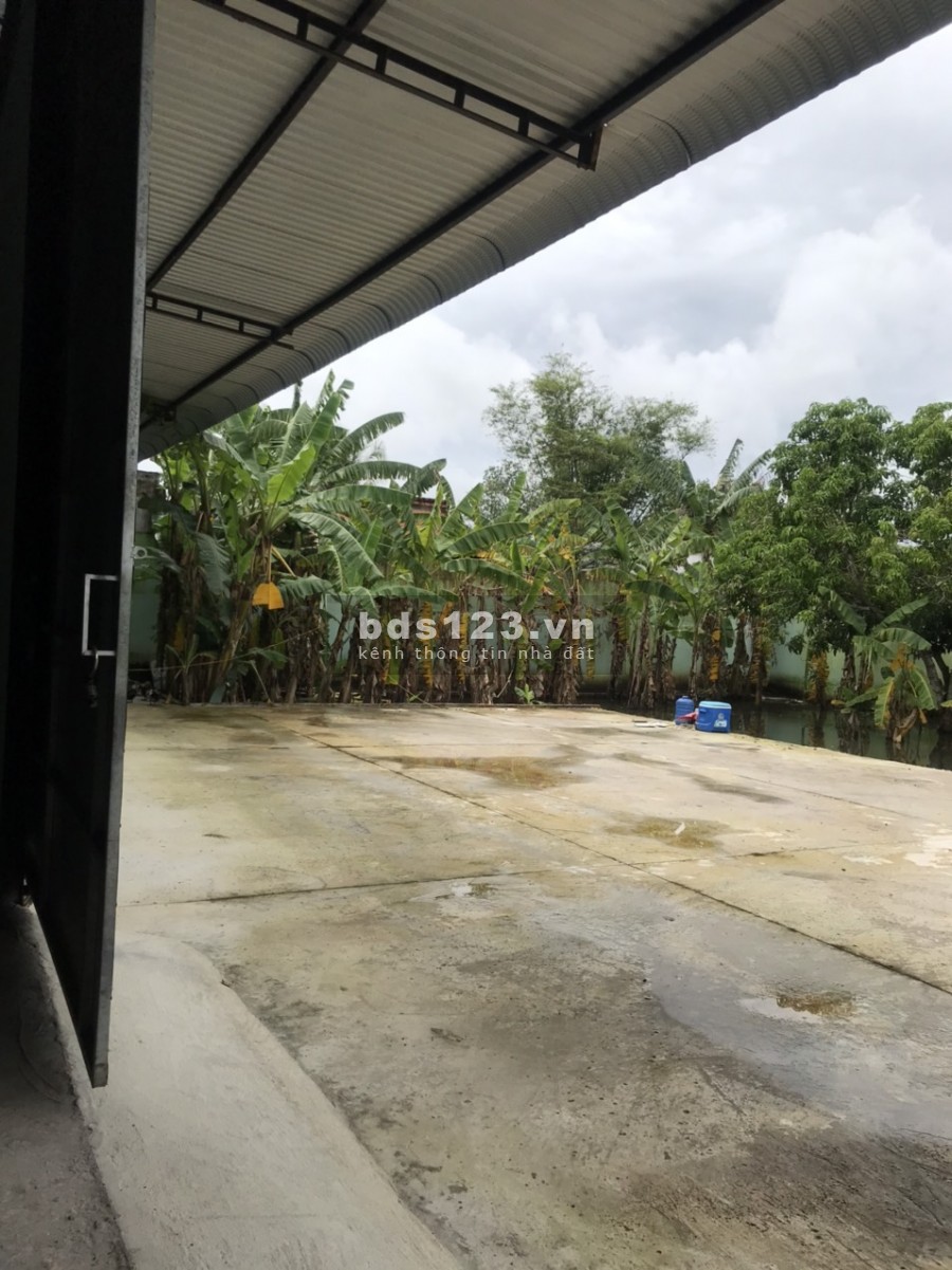 Cho thuê kho 1.000m2 giá 22tr Cách tỉnh lộ 825 tầm 100m xã Hòa Khánh Đông, Đức Hòa Long An. 0974480757