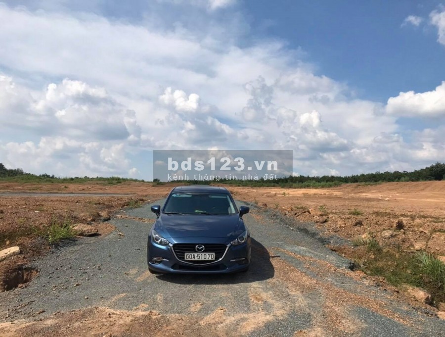 Gấp - đưa ba ra bắc chữa bệnh nên cần bán lô 6000m2 ở Bình Phước giá chỉ 390 tr/lô, sổ hồng riêng