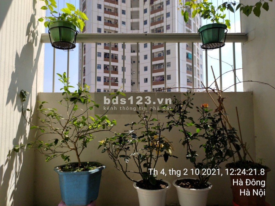 Bán căn hộ chính chủ Yên Nghĩa Hà Đông 1,5 tỷ dt 90m2, 3PN,…