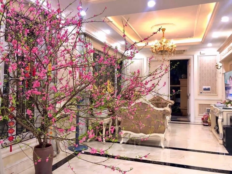 VẠN PHÚC - HÀ ĐÔNG - SIÊU PHẨM BIỆT THỰ SÂN VƯỜN - ĐẲNG CẤP - THIẾT KẾ TÂN CỔ ĐIỂN – 200M 3T - MT13 - GIÁ 20 TỶ