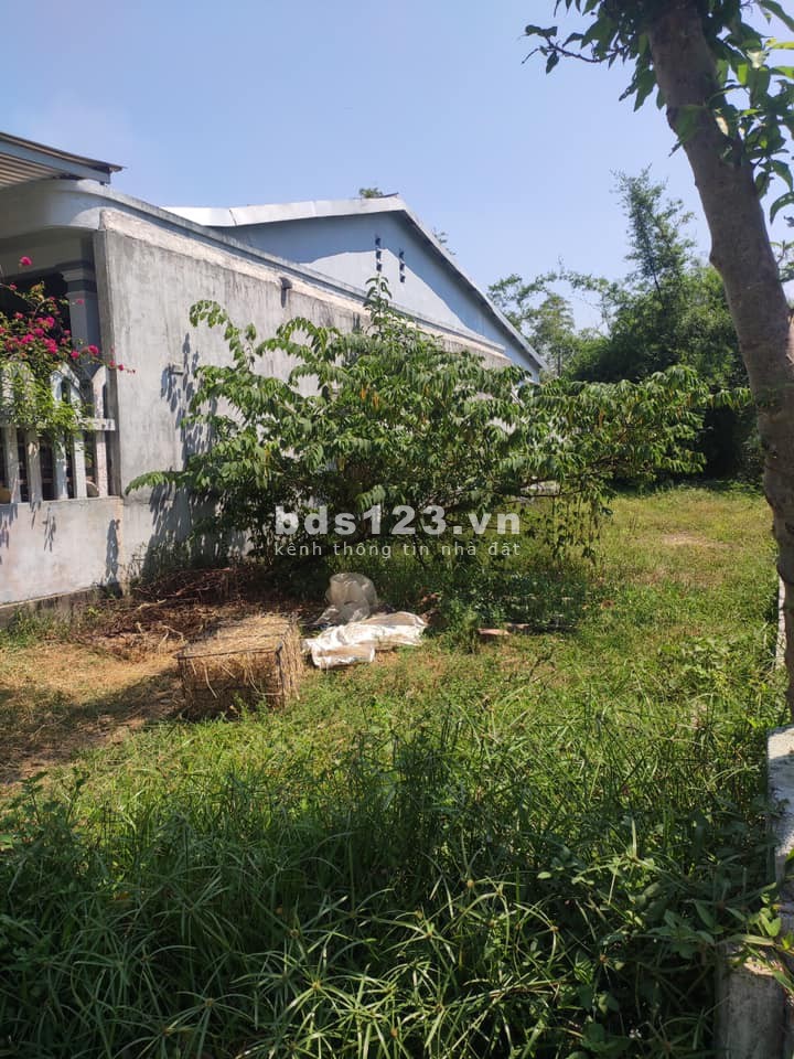 Bán đất kiệt 53 Tôn Thất Sơn thông kiệt Nguyễn Viết Xuân giá chỉ 1.3x tỷ, lh 0702788074