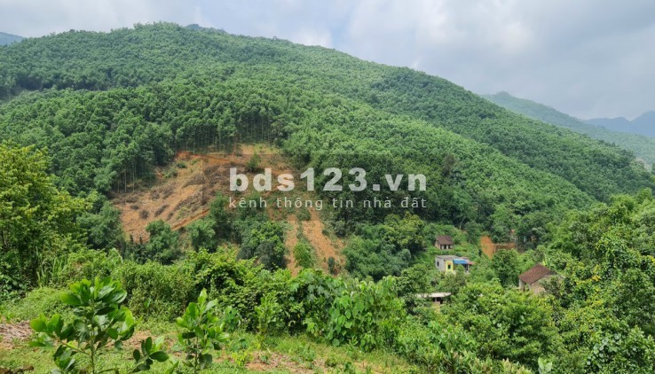 Bán đất trang trại 20ha đất RSX chỉ 3,4 tỷ Lương Sơn Hoà Bình