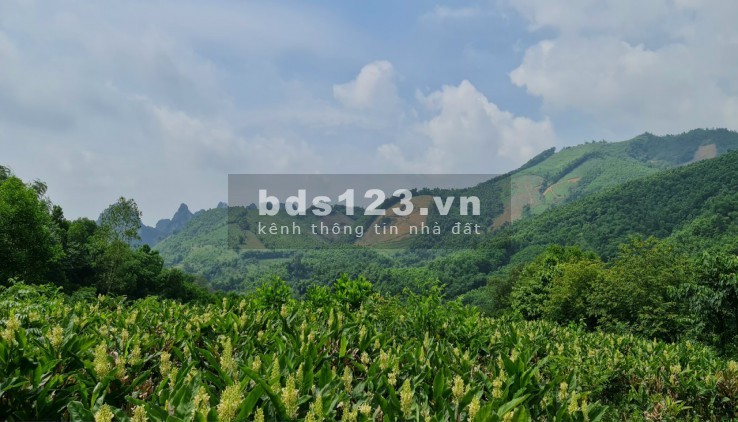 Bán đất trang trại 20ha đất RSX chỉ 3,4 tỷ Lương Sơn Hoà Bình
