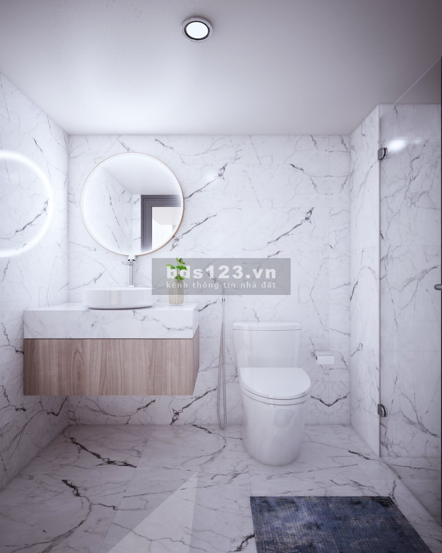 Chung cư mini Ecohome CMT8 Q3 35m2
