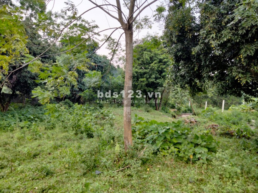 Duy nhất còn lô đất nhỏ xinh 721m2, tại Cư Yên, Lương Sơn, Hoà Bình