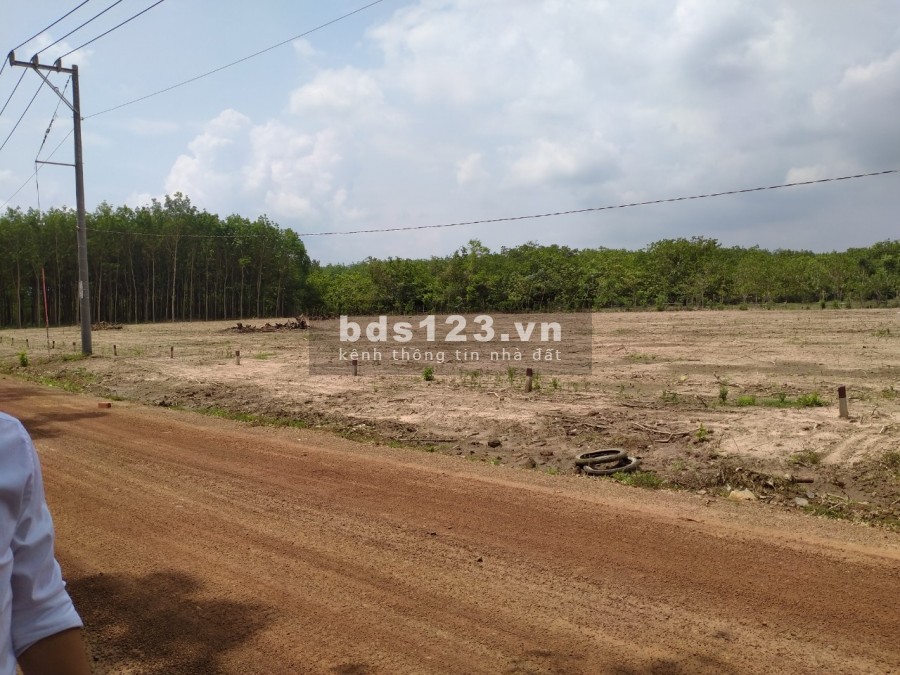 Bán gấp đất chính chủ khu vực Chơn Thành_DT1000m2