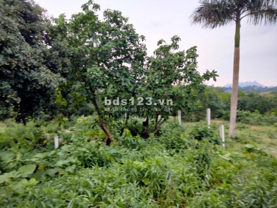Duy nhất còn lô đất nhỏ xinh 721m2, tại Cư Yên, Lương Sơn, Hoà Bình
