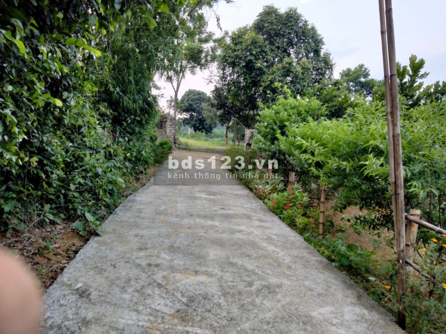 Duy nhất còn lô đất nhỏ xinh 721m2, tại Cư Yên, Lương Sơn, Hoà Bình