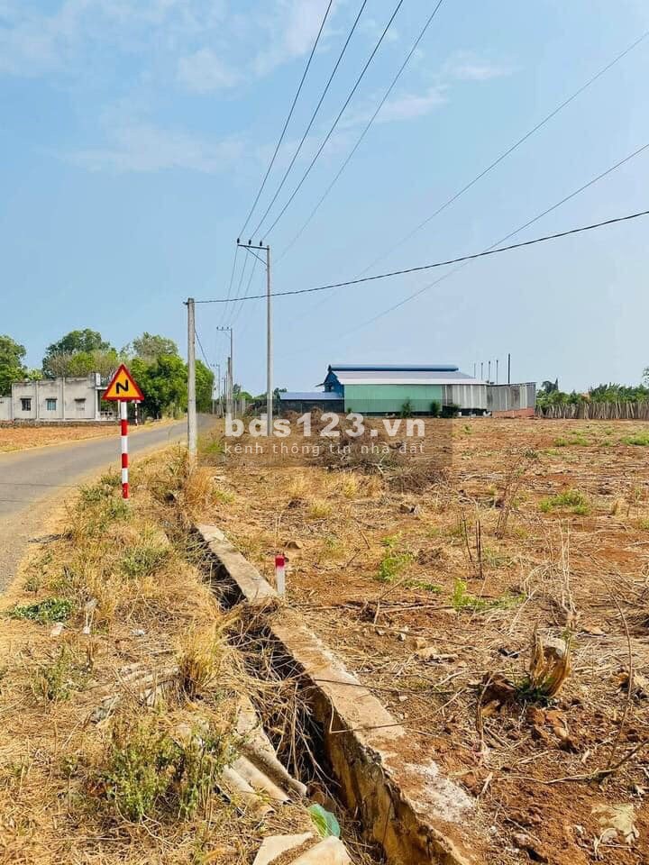 Đất sổ đỏ ngay dân cư thị trấn gần KCN Đất Đỏ 1 Bà Rịa Vũng Tàu