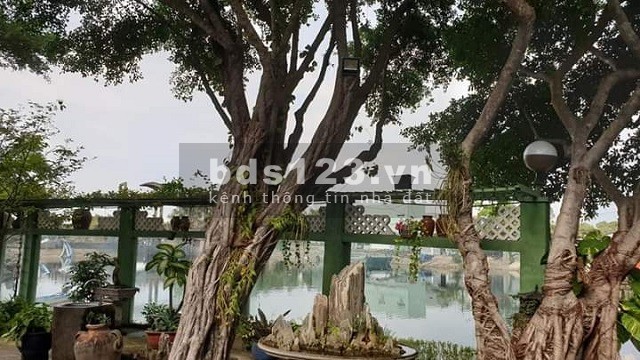 Bán Gấp Khu Sinh Thái duy nhất 3 Mặt Sông, Chủ Xây Dựng Tâm Huyết