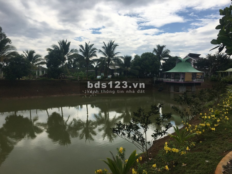 Bán Homestay Cực Lớn Chỉ 14 Tỷ Giá Quá Rẻ