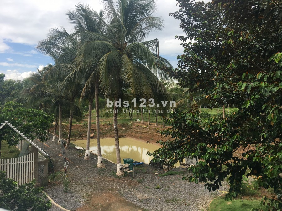 Bán Homestay Cực Lớn Chỉ 14 Tỷ Giá Quá Rẻ