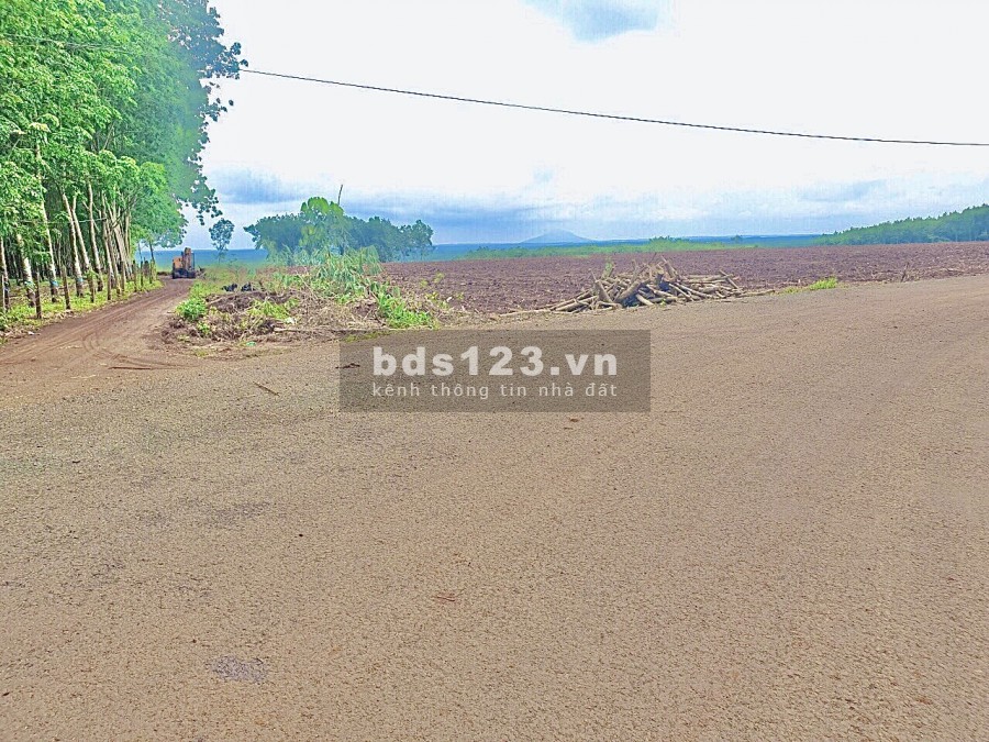 Bán Đất Chơn Thành Gần Vincom Đường Điện Ba Pha