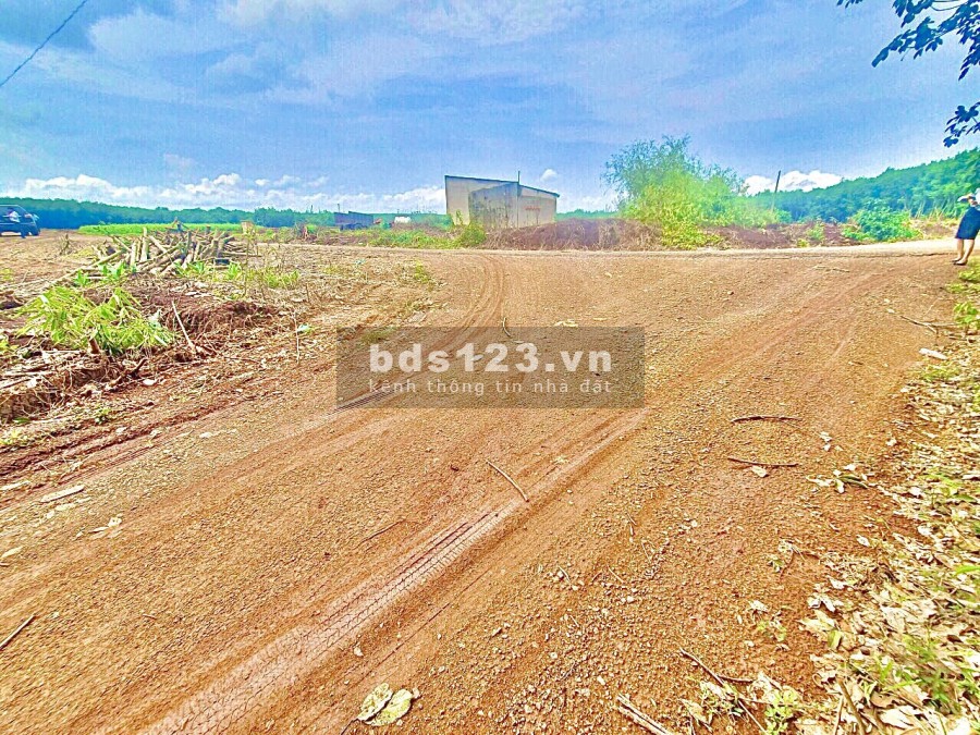Bán Đất Chơn Thành Gần Vincom Đường Điện Ba Pha
