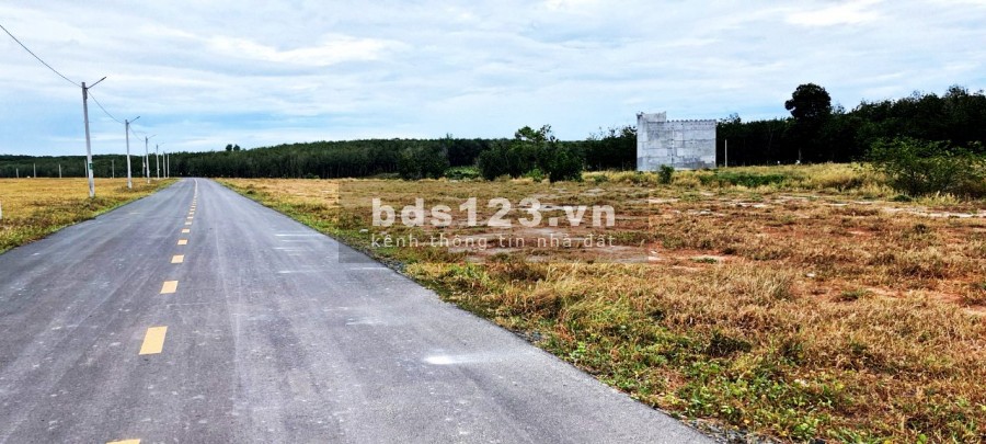 Top 3 Dự Án Bất Động Sản Nào Nên Đầu Tư Tại Thị Trường Bình Dương