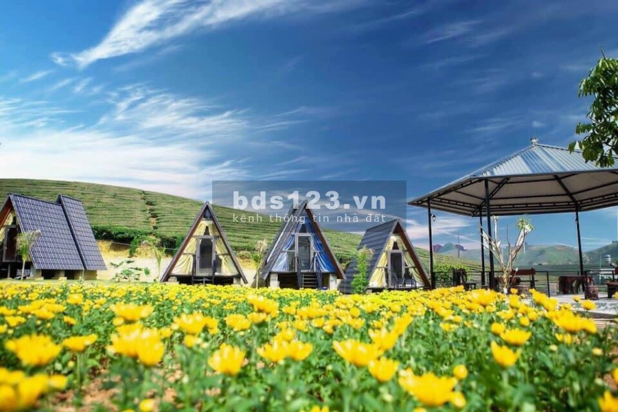 Cần vốn kinh doanh bán gấp đất thổ cư 226m2 TP Bảo Lộc Lâm Đồng