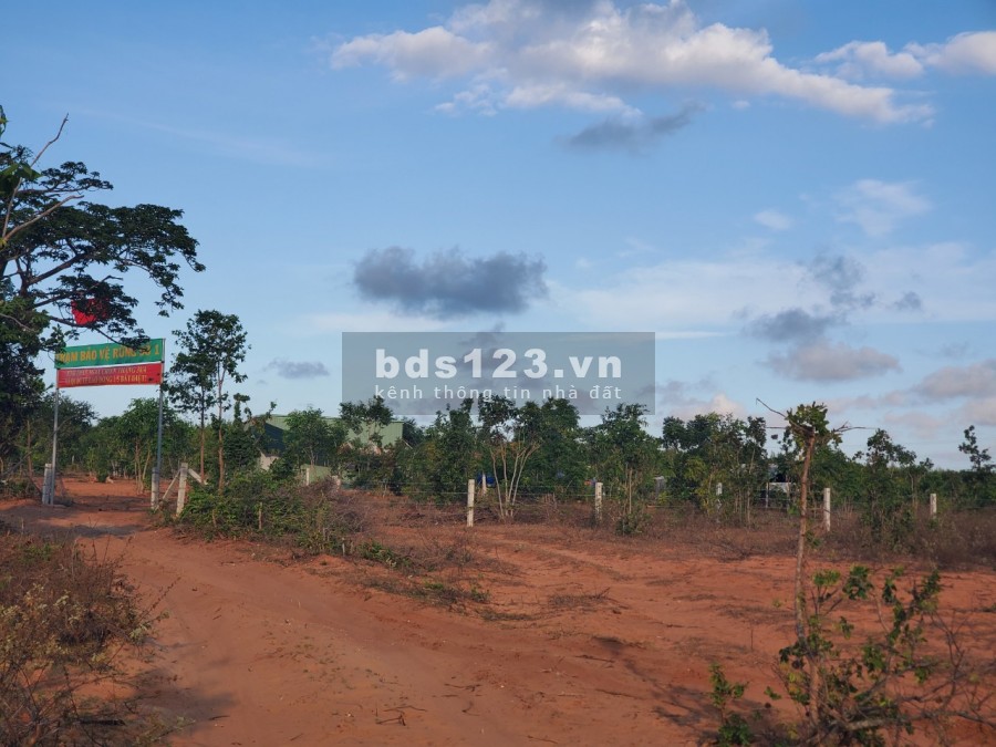 Bán 6396m2 ở xã Phan Thanh cách QL1A 1km, có đường trên sổ ra QL