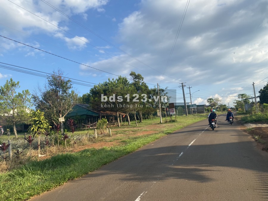 Bán Nhanh 500 m2 Đất Thổ Cư Đường Lý Thái Tổ Tp Bảo Lộc 0379 893 779