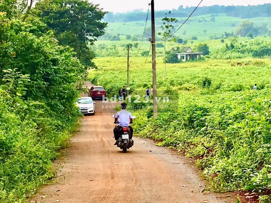 Chủ đất cần tiên xoay vốn làm ăn bán nhanh lô đất tại xã Phước Bình huyện Long Thành, Tỉnh Đồng Nai