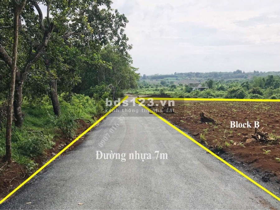 Chủ đất cần tiên xoay vốn làm ăn bán nhanh lô đất tại xã Phước Bình huyện Long Thành, Tỉnh Đồng Nai
