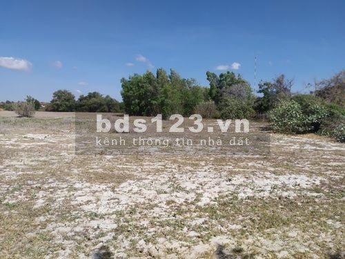 Bán 1.1ha đất đẹp như sân banh nở hậu sổ xịn chưa qua đầu tư