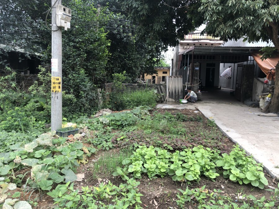Mặt đường QL21 bán lô đất tại Sơn Đông Sơn Tây giá cho các nhà đầu tư LH : 0358552345