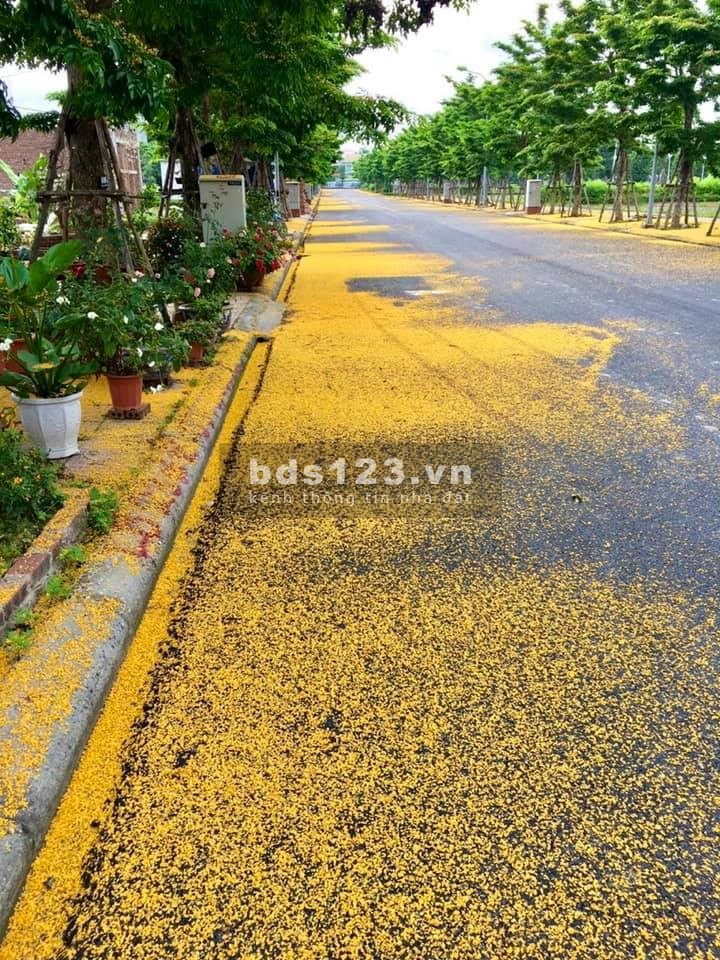 Bán nhanh lô đất đẹp Lk A13-03 - dự án Opus One trung tâm Uông Bí