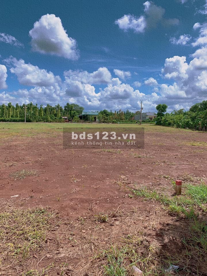 Bán đất gần Becamex Chơn Thành giá 550tr/1000m2,có ngân hàng hỗ trợ cho vay 60%