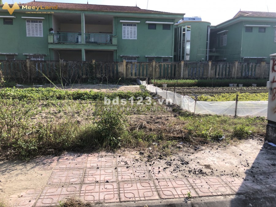 Bán đất Trâu Quỳ khu đấu giá 31Ha dt 125m2 Mặt Chính Trung. 0982852808
