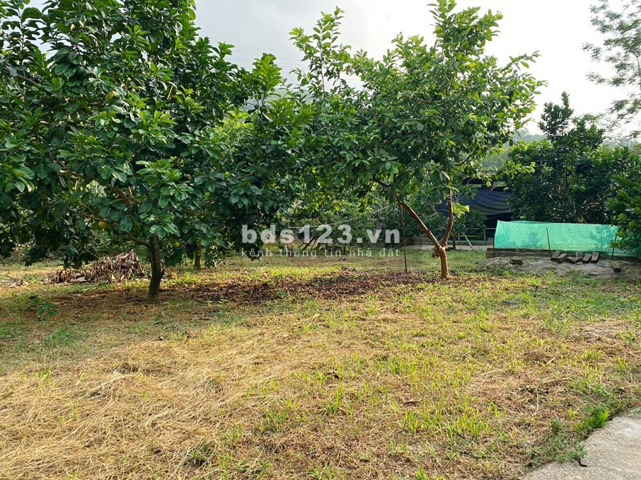 Gửi bán mảnh đất sẵn nhà S hơn 1600m2 130m thổ cư tại xã Liên Sơn- Lương Sơn-