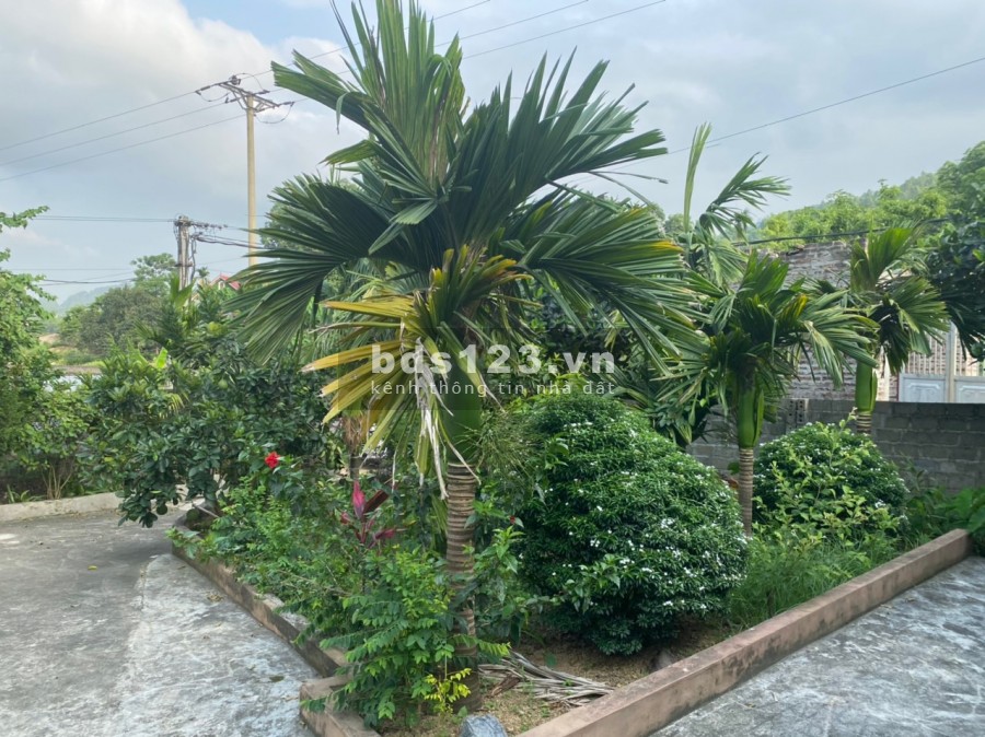 Gửi bán mảnh đất sẵn nhà S hơn 1600m2 130m thổ cư tại xã Liên Sơn- Lương Sơn-
