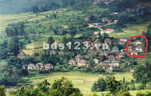 Cầm tờ Sổ Đỏ y Tý Đời Đời Ấm Lo Với 300 m2