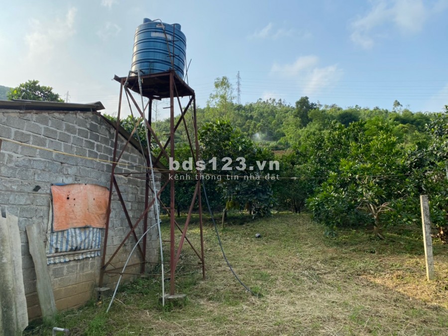 Gửi bán mảnh đất sẵn nhà S hơn 1600m2 130m thổ cư tại xã Liên Sơn- Lương Sơn-