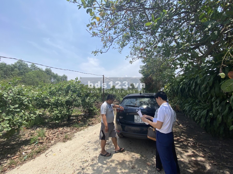 Cần bán nhanh đất mặt đường Phước Bình