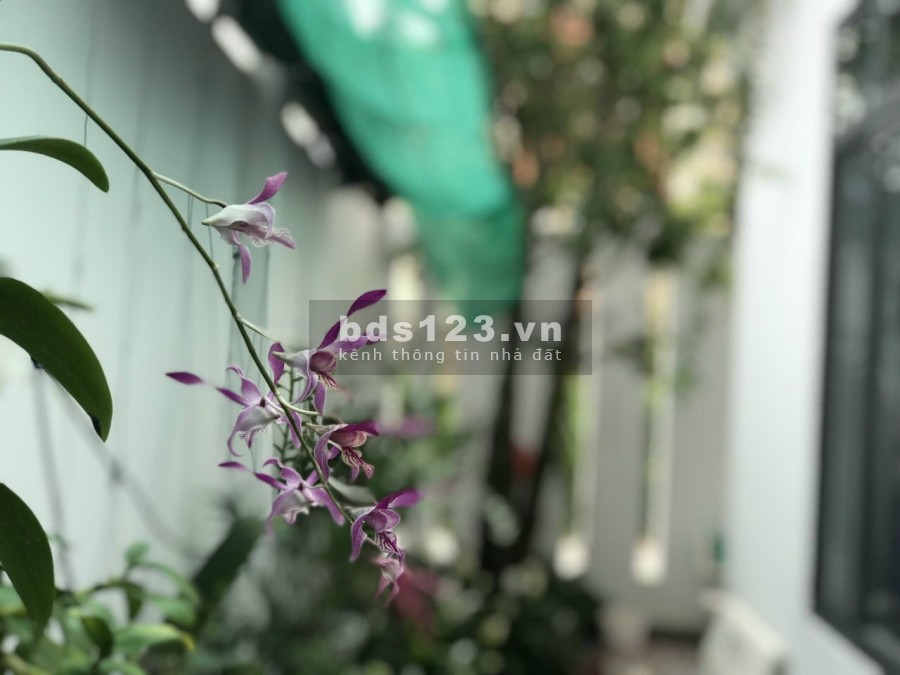 Bán nhà 1 trệt 2 lầu khu chung cư 10 mẫu DT 165m2- 18 tỷ