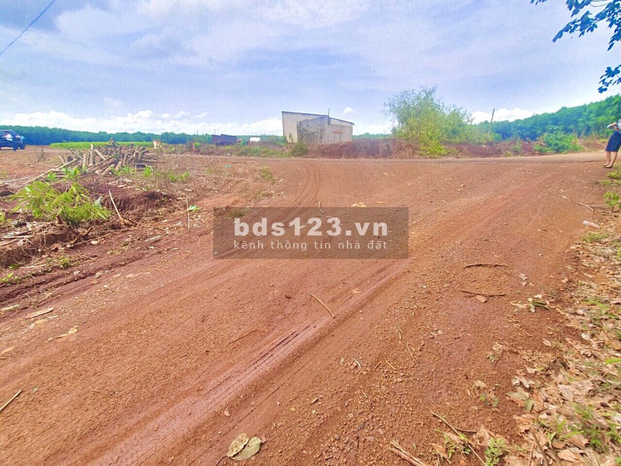Mua Bán Đất Thị Xã Chơn Thành, Đầu Tư Giá Rẻ Giai Đoạn 1