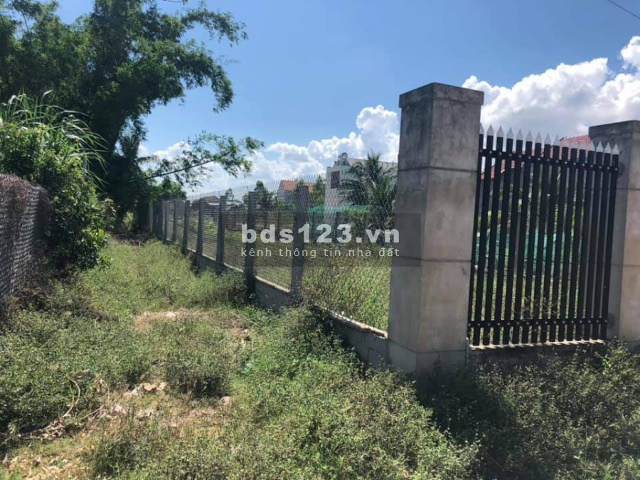 Bán đất đường nguyễn hồng đào, thị trấn ngô mây, phù cát, bình định. 850tr.