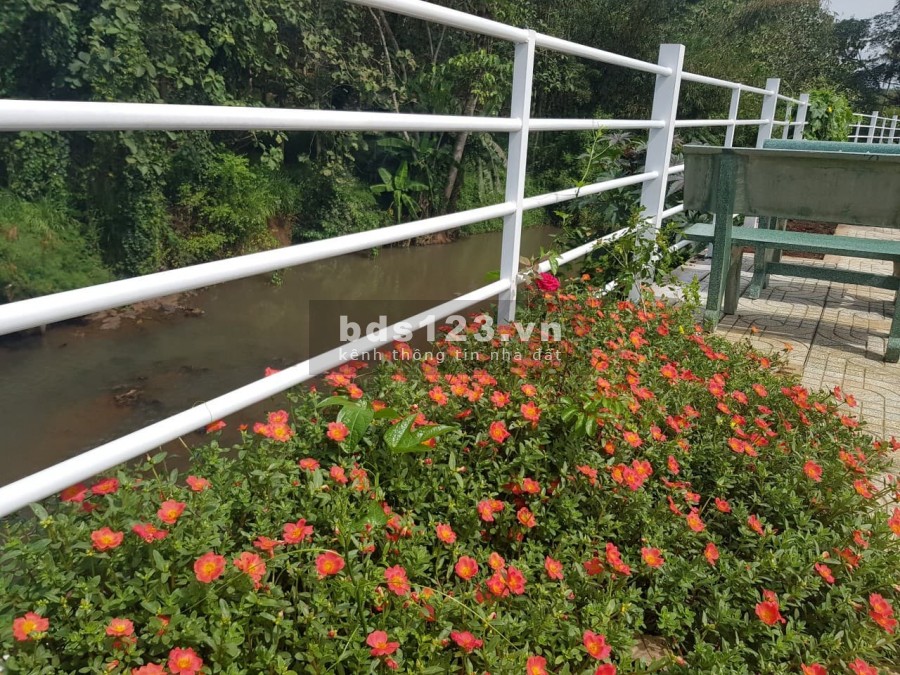 Vợ bầu kẹt tiền cần bán gấp lô đất ngay KCN Dầu Giây và Cẩm Mỹ