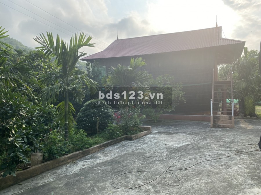 EM BÁN ĐẤT TẶNG NHÀ SÀN VỚI VƯỜN CÂY ĂN TRÁI