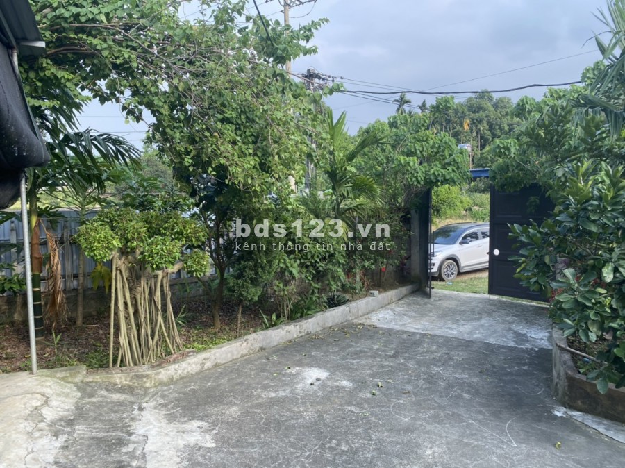 EM BÁN ĐẤT TẶNG NHÀ SÀN VỚI VƯỜN CÂY ĂN TRÁI