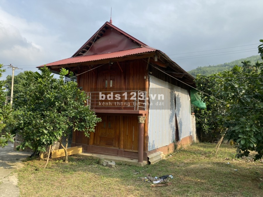 EM BÁN ĐẤT TẶNG NHÀ SÀN VỚI VƯỜN CÂY ĂN TRÁI