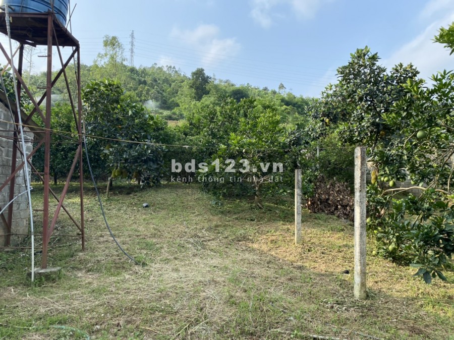 EM BÁN ĐẤT TẶNG NHÀ SÀN VỚI VƯỜN CÂY ĂN TRÁI