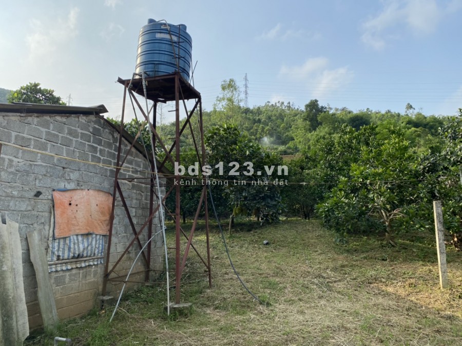 EM BÁN ĐẤT TẶNG NHÀ SÀN VỚI VƯỜN CÂY ĂN TRÁI